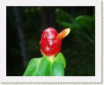 Eden15 * 1712 x 1368 * (1.84MB)